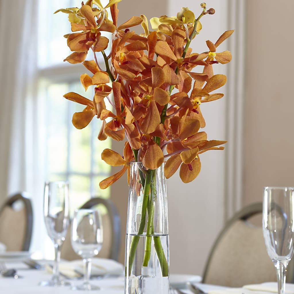 Orange Mokara Bud Vase – Flowers By Louise, Wasilla AK