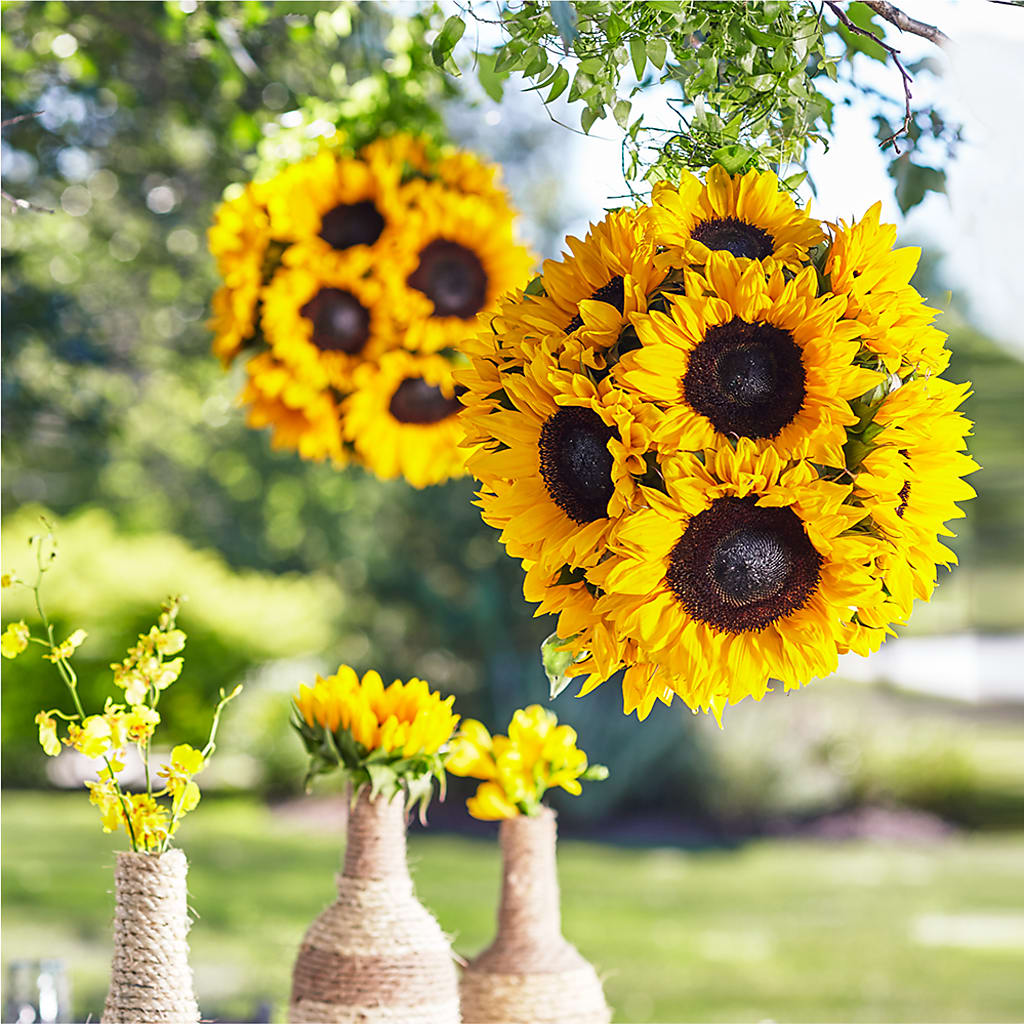 Sublime Garden Hanging Arrangement – Flowers By Louise, Wasilla AK