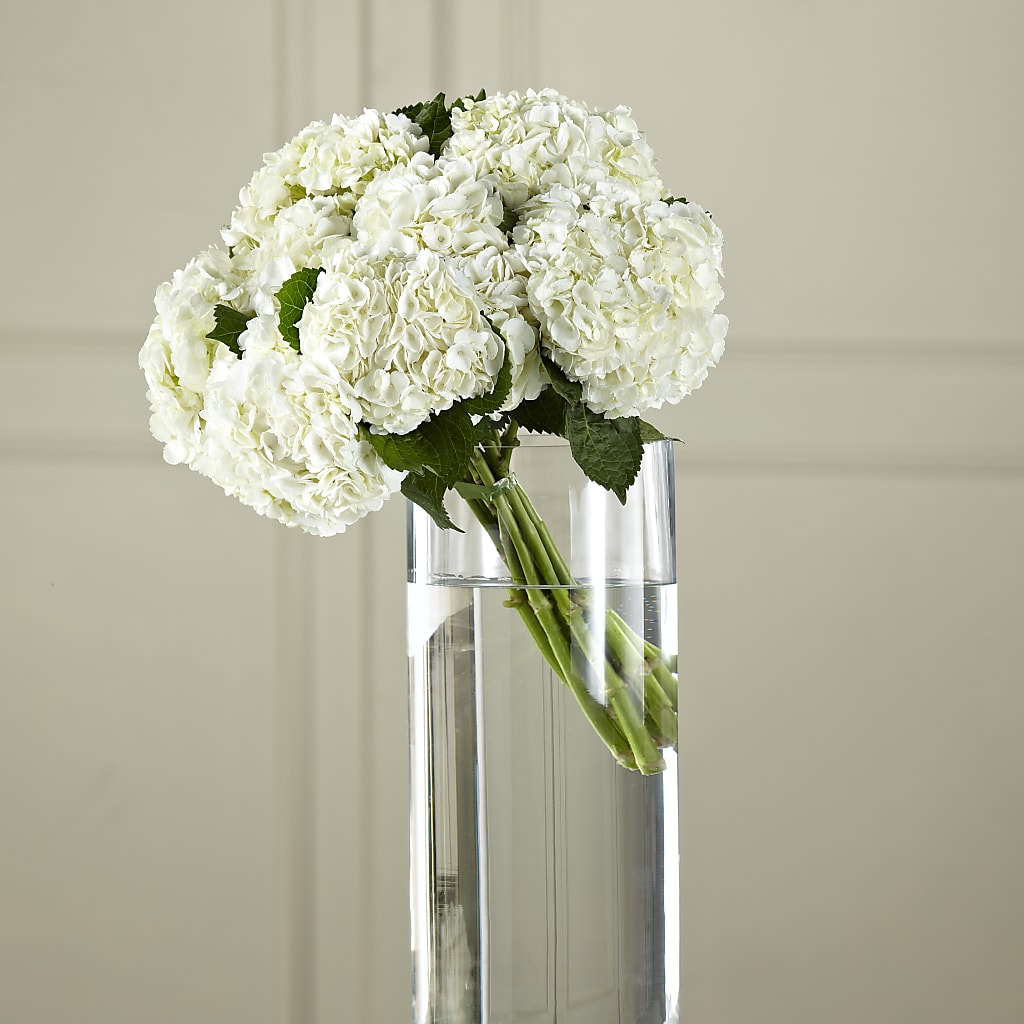 White Hydrangea Hand-Tied Bouquet – Flowers By Louise, Wasilla AK
