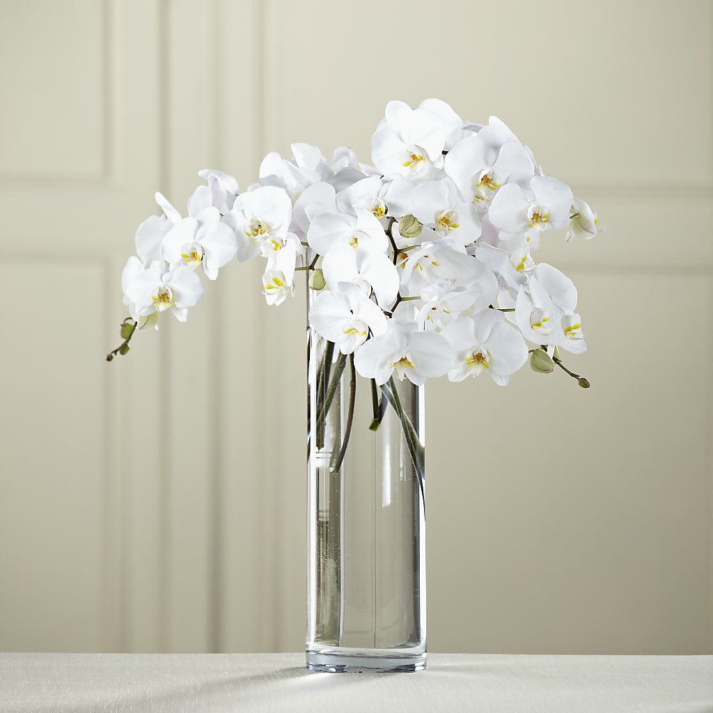 White Phalaenopsis Bouquet – Flowers By Louise, Wasilla AK