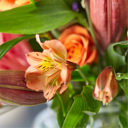 Bold & Bright – A Florist Original –  Flowers By Louise, Wasilla AK