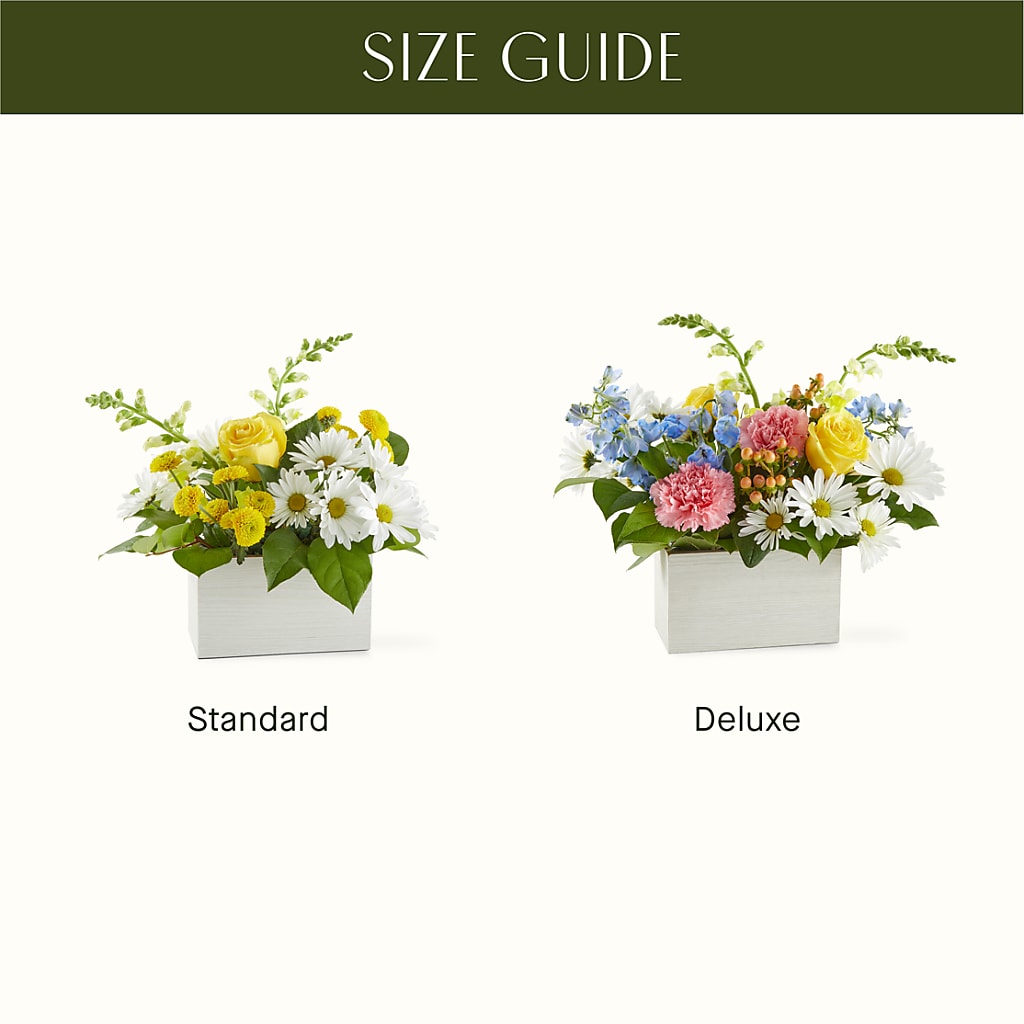 Sun Salutation Box Bouquet –  Flowers By Louise, Wasilla AK