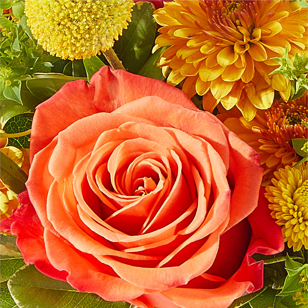 Gourdgeous Pumpkin –  Flowers By Louise, Wasilla AK