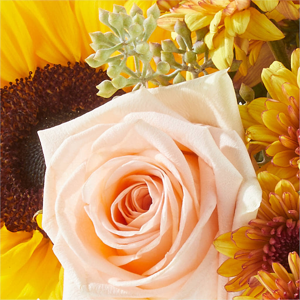 Pumpkin to Talk About Bouquet –  Flowers By Louise, Wasilla AK