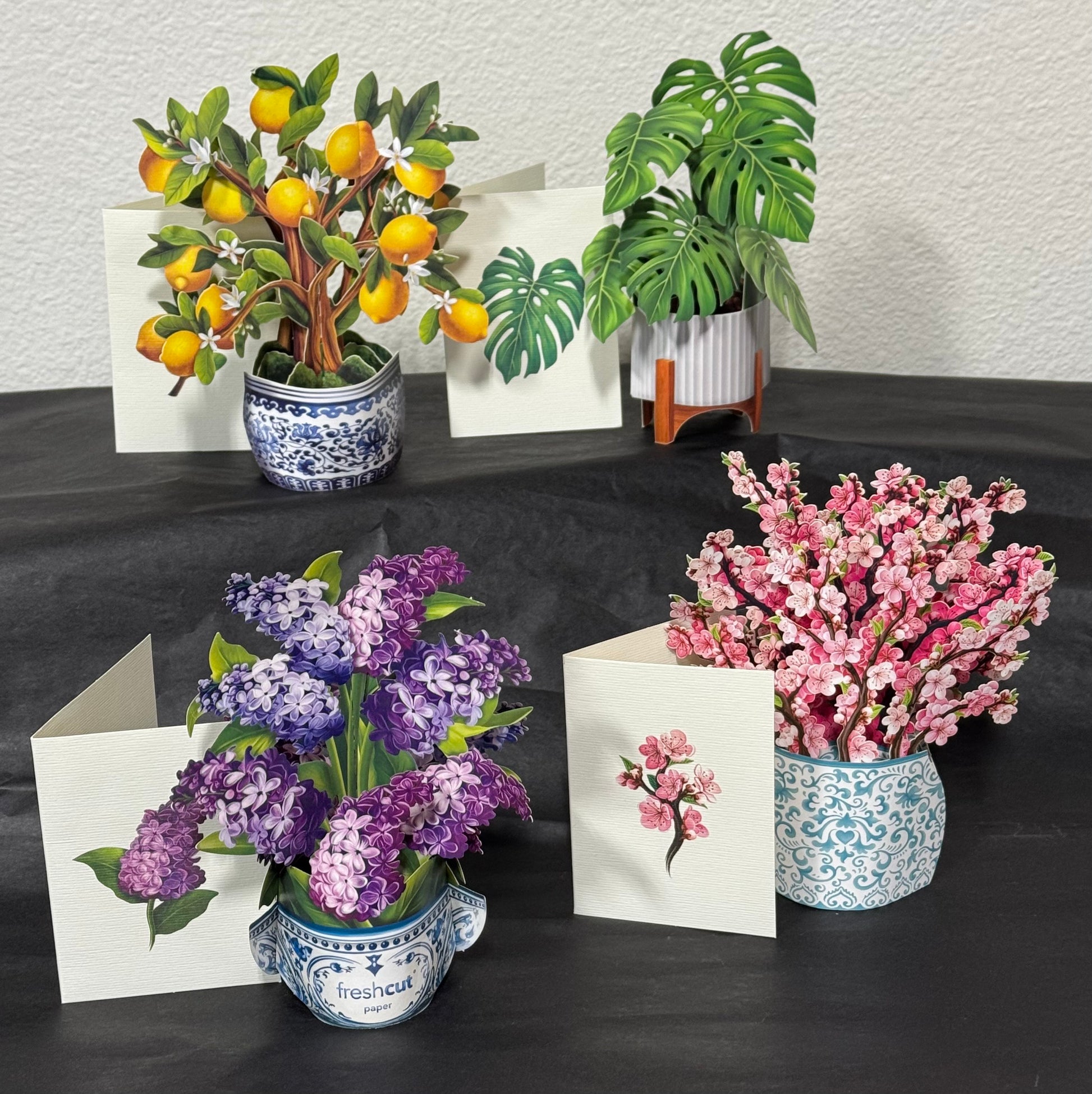 Pop-Up Greeting Card  –  Flowers By Louise, Wasilla AK
