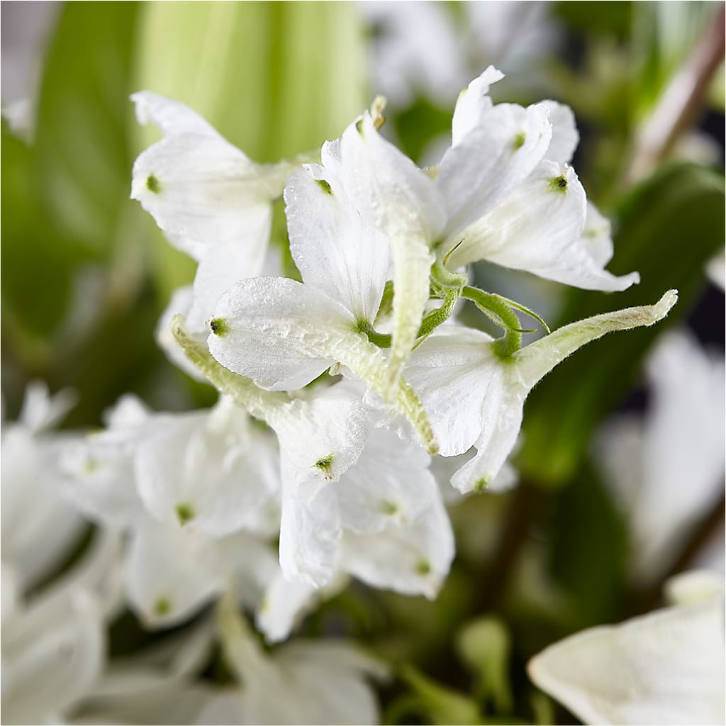 Classic Ivory – A Florist Original –  Flowers By Louise, Wasilla AK