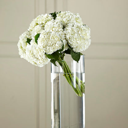 White Hydrangea Hand-Tied Bouquet –  Flowers By Louise, Wasilla AK