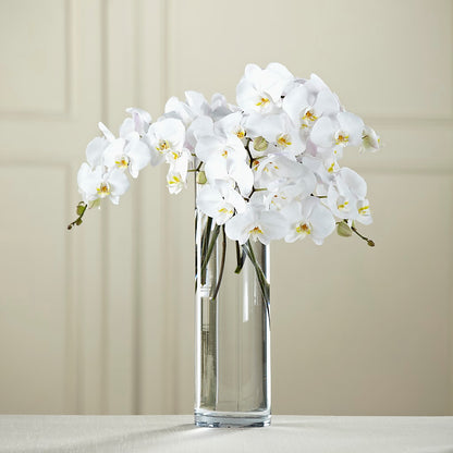 White Phalaenopsis Bouquet –  Flowers By Louise, Wasilla AK